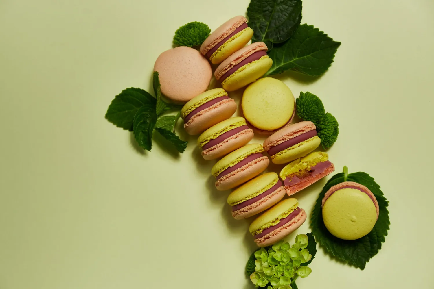 Blikle Macaron Rabarbaro Pasticcino alle Mandorle