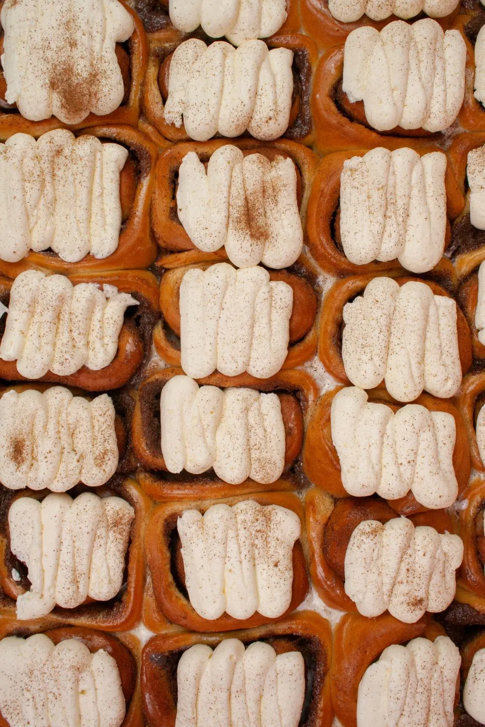 Blikle Cinnamonka box cinnamon roll 12 pezzi