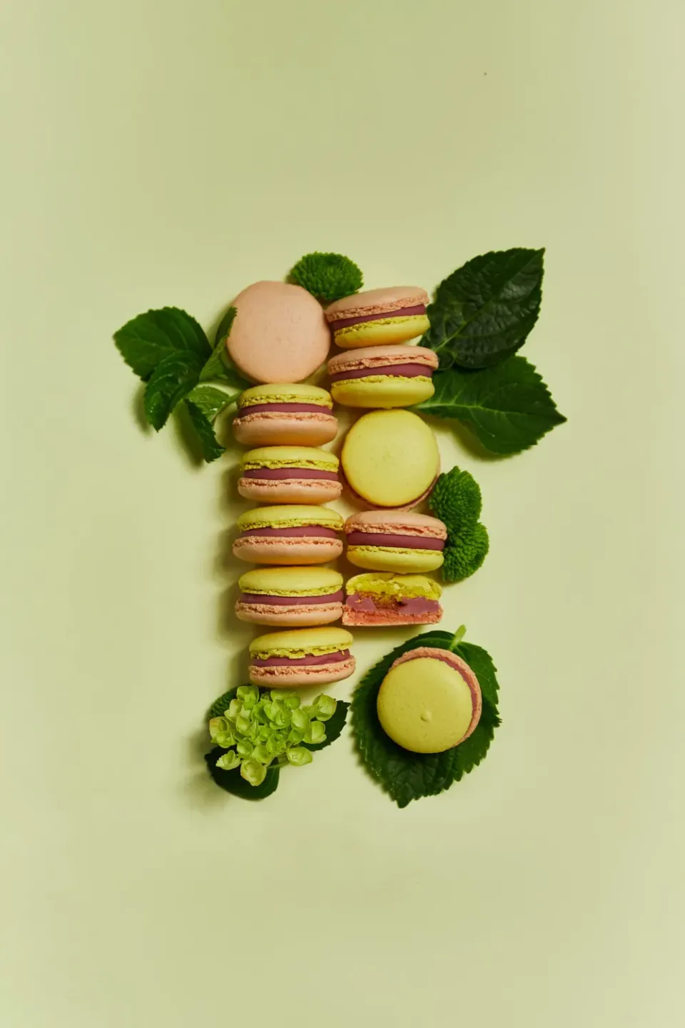 Blikle Macaron Rabarbaro Pasticcino alle Mandorle