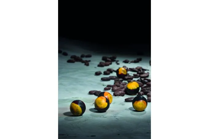 Paolo Griffa Cioccolami libro cioccolato prima edizione