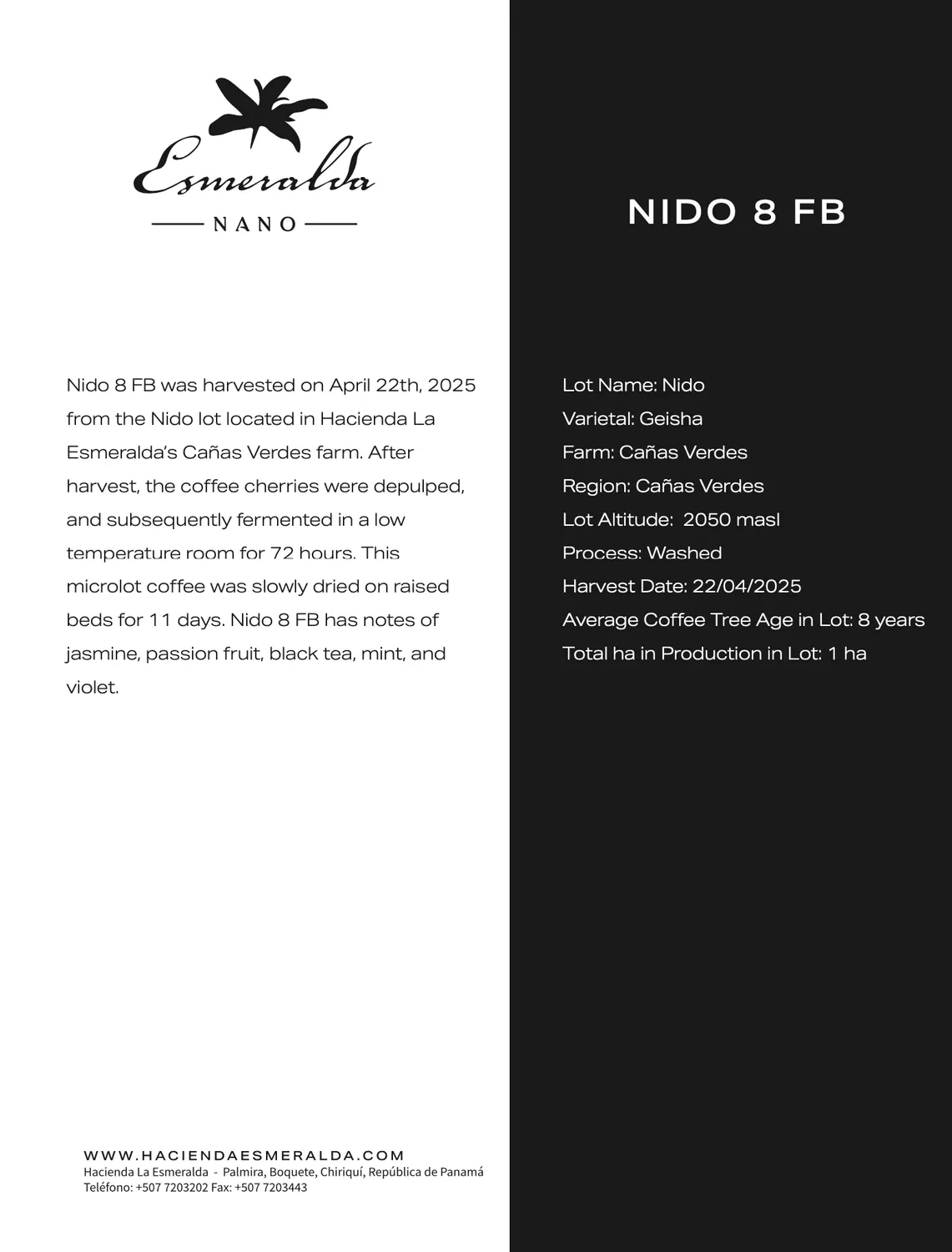 Paolo Griffa Panama Geisha Nido 8 caffè in grani Hacienda Esmeralda