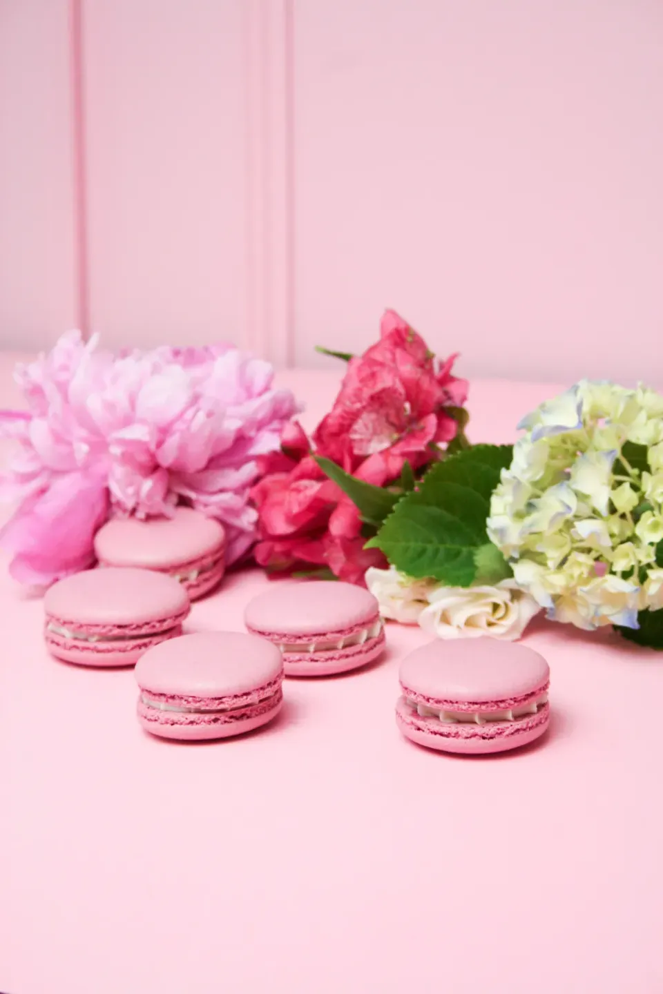 Blikle Macaron cioccolato bianco e ribes monoporzione