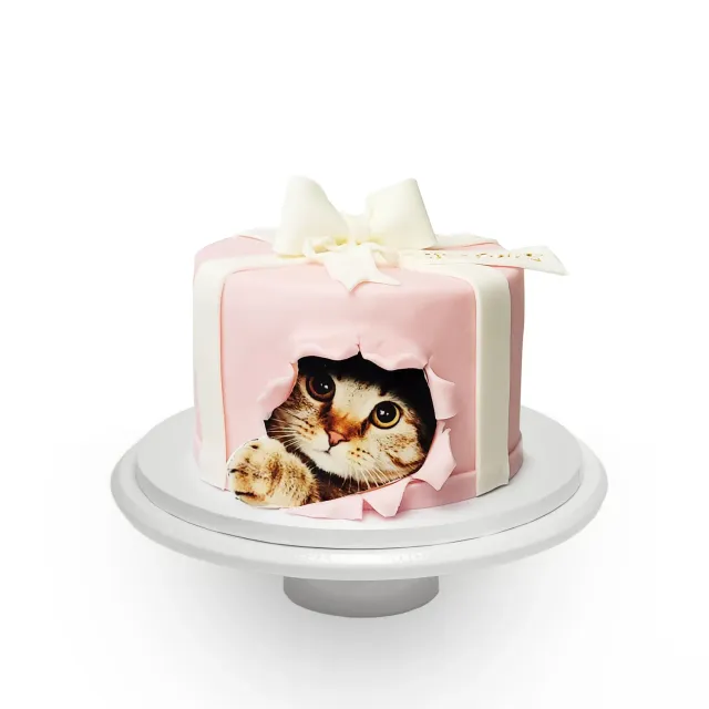 Blikle Torta Gattino 118 torta compleanno 12 porzioni pasta di zucchero