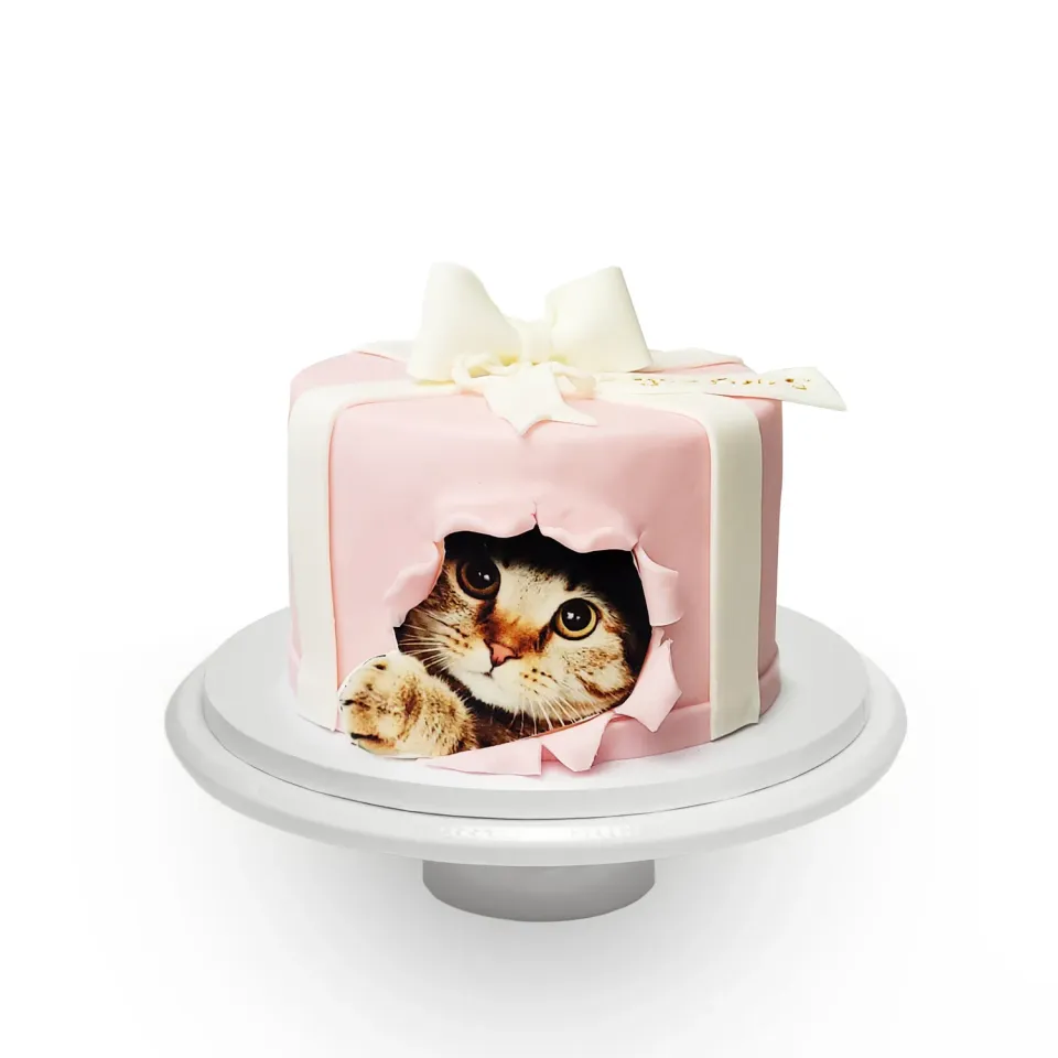 Blikle Torta Gattino 118 torta compleanno 12 porzioni pasta di zucchero