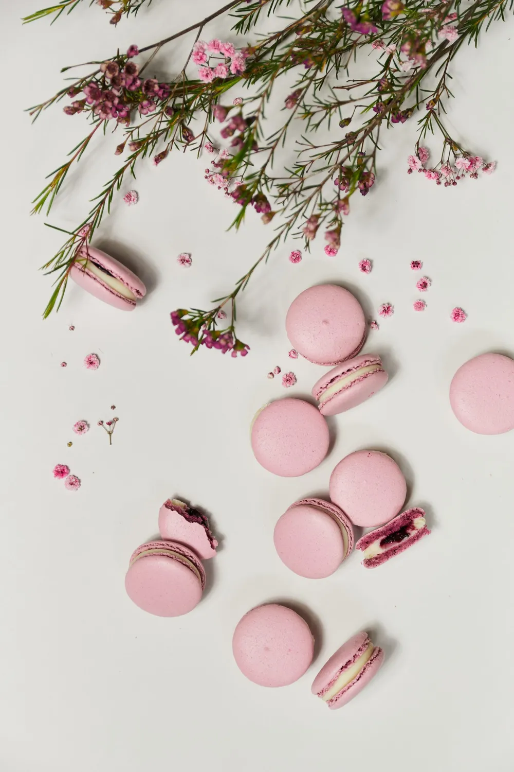 Blikle set macaron regalo 6 pezzi assortiti