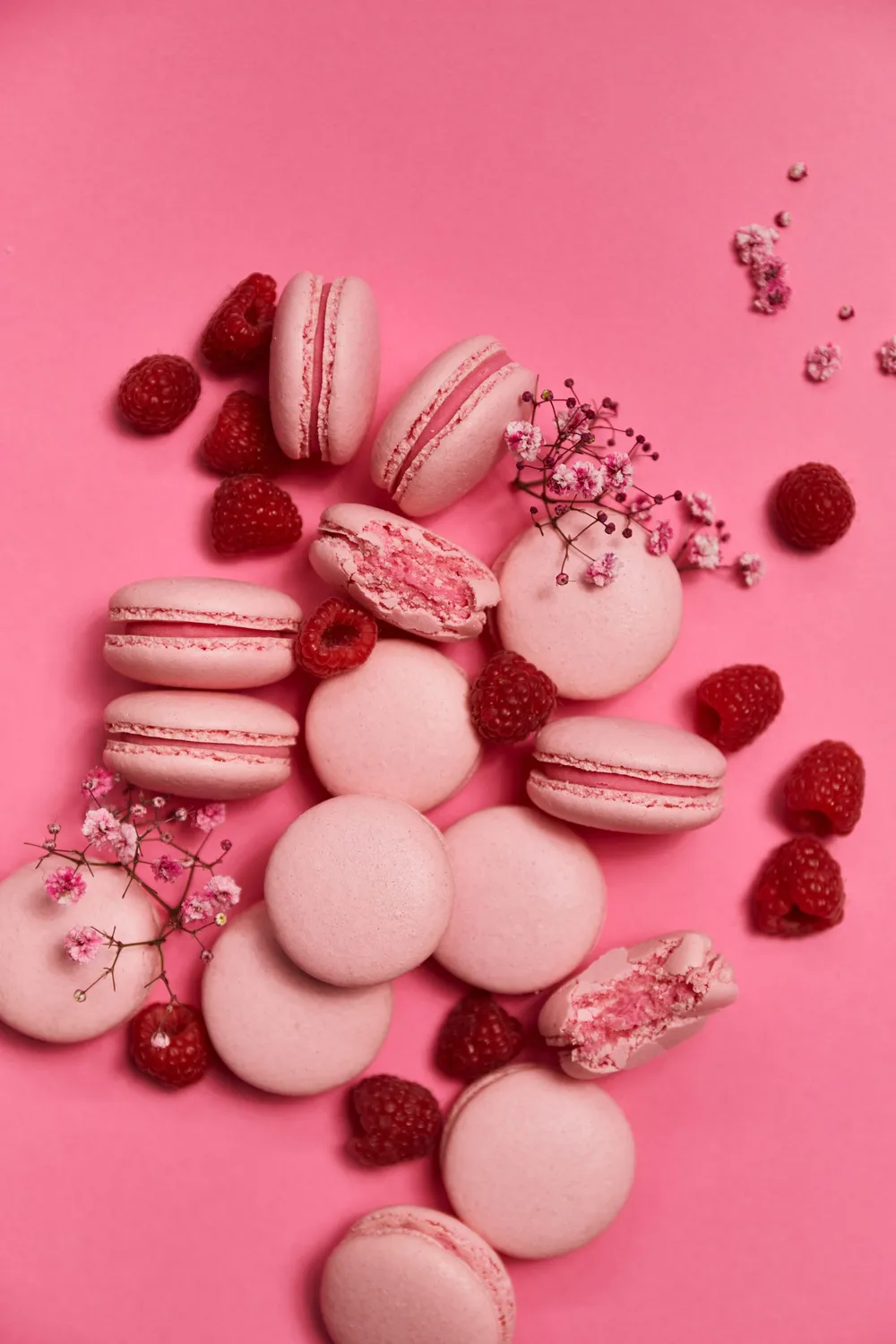 Blikle Lampone macaron mandorla ganache 1 pz fruttato