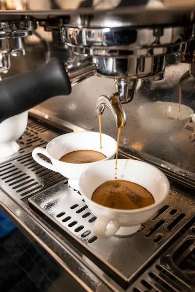 Paolo Griffa Guatemala caffè grani decaffeinato Swiss Water